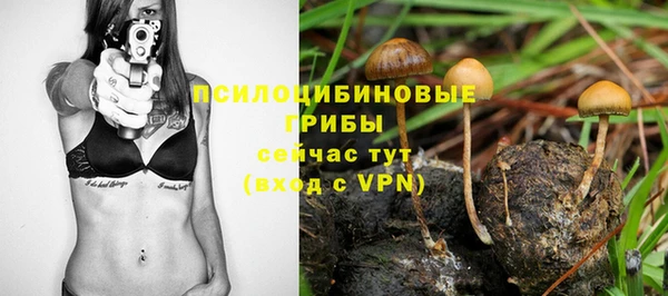 ГАЛЛЮЦИНОГЕННЫЕ ГРИБЫ Семёнов
