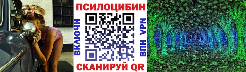 Галлюциногенные грибы Magic Shrooms  купить   Чехов 
